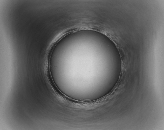 X0000115790005200911201341