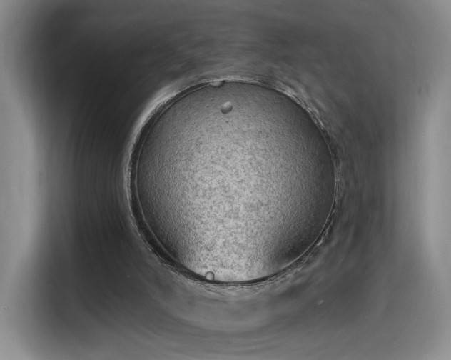 X0000115790006200911201341