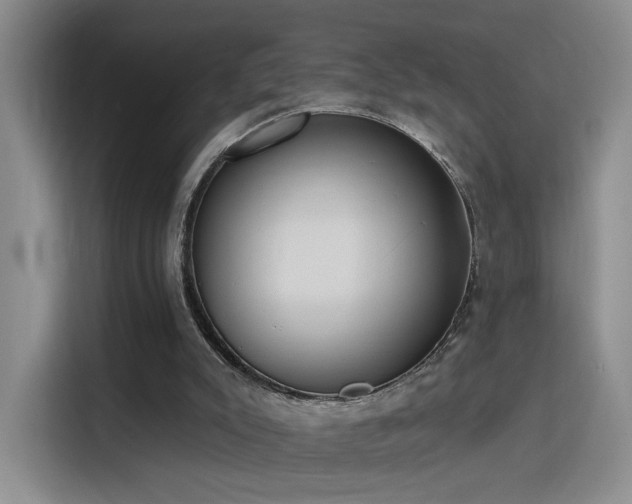 X0000115790007200911201341