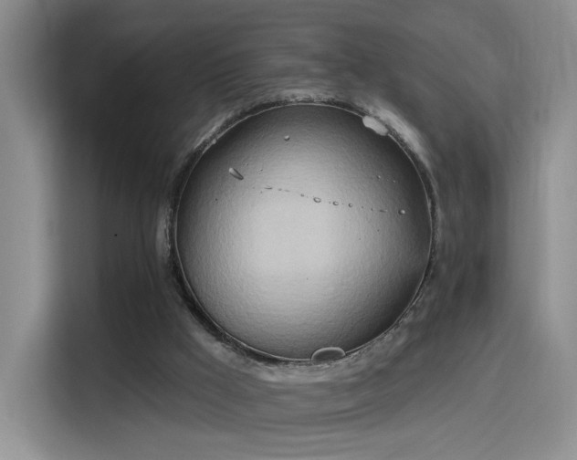 X0000115790009200911201341