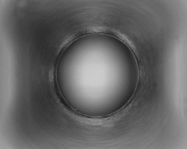 X0000115790010200911201341