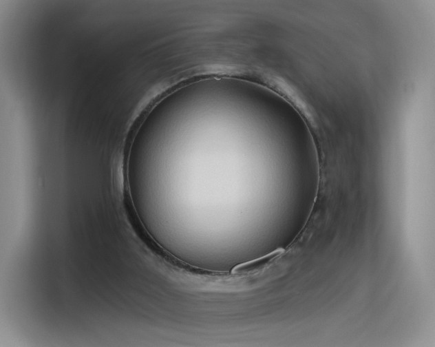 X0000115790011200911201341