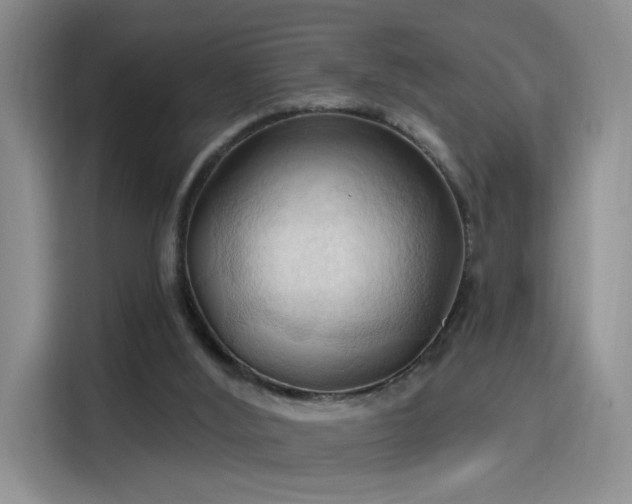 X0000115790012200911201341