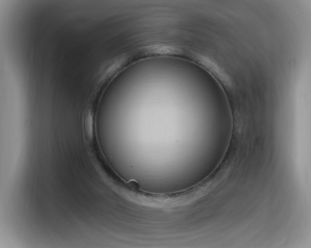 X0000115790014200911201341