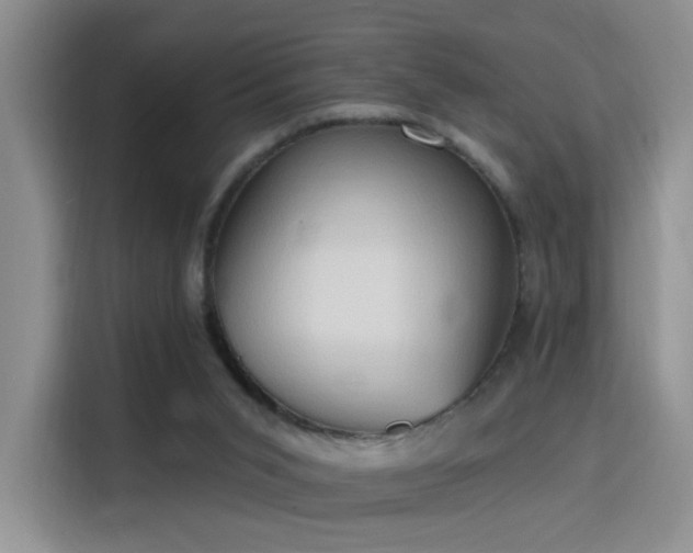 X0000115790015200911201341