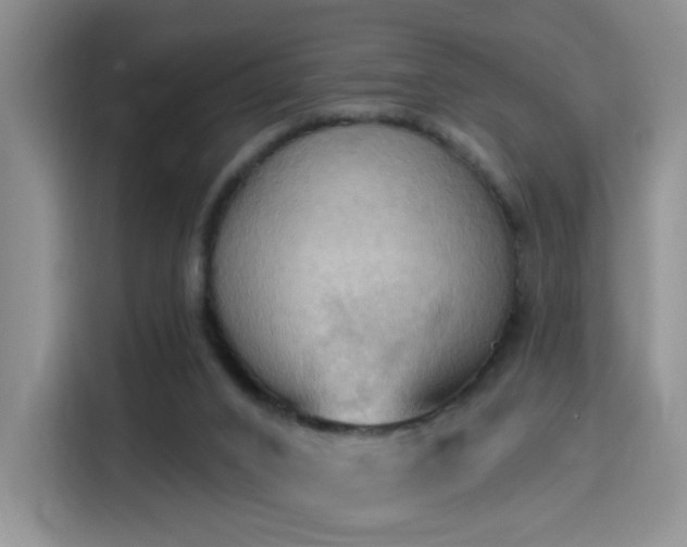 X0000115790016200911201341