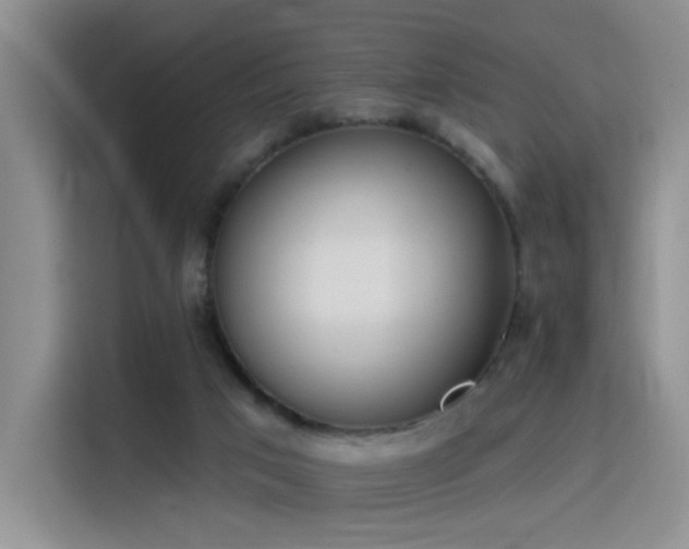 X0000115790017200911201341