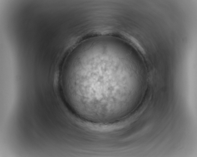 X0000115790018200911201341