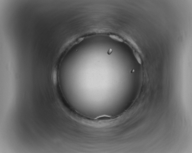 X0000115790019200911201341