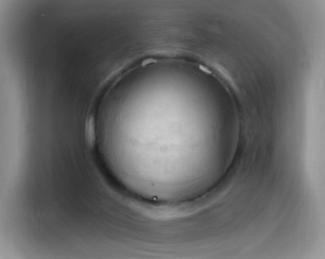 X0000115790020200911201341