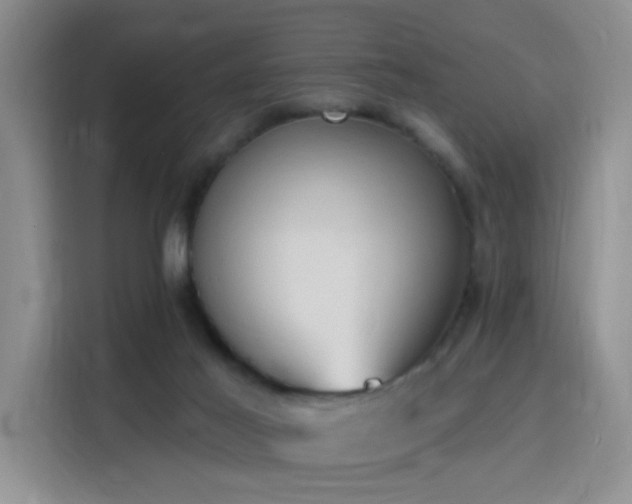 X0000115790021200911201341