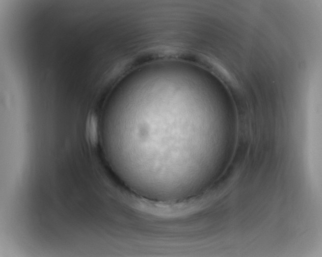 X0000115790022200911201341