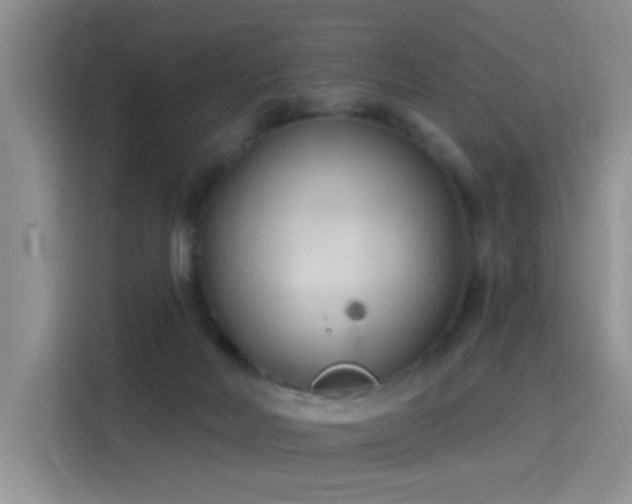 X0000115790026200911201341