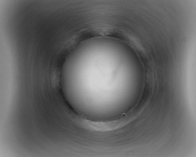 X0000115790030200911201341