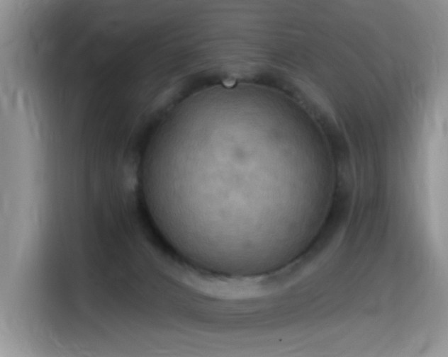 X0000115790032200911201341