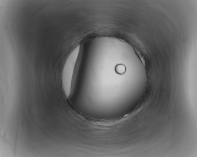 X0000115790033200911201341