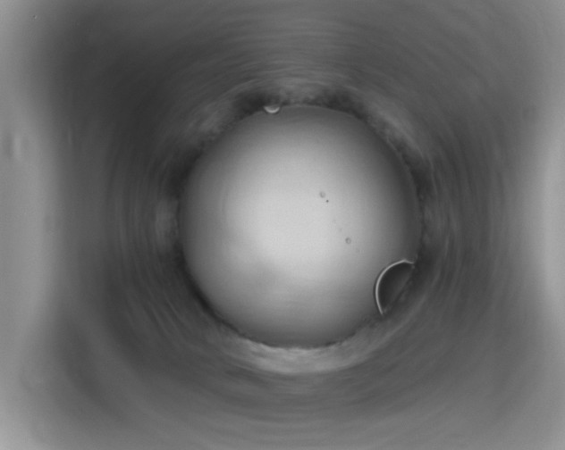 X0000115790034200911201341