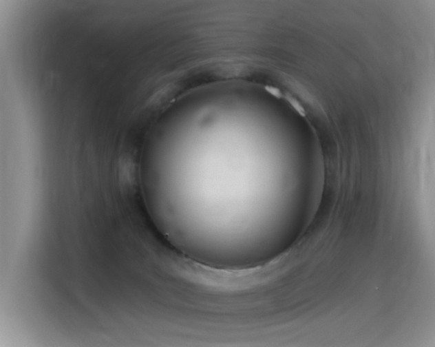 X0000115790035200911201341