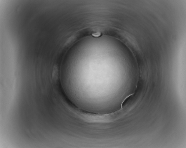 X0000115790036200911201341