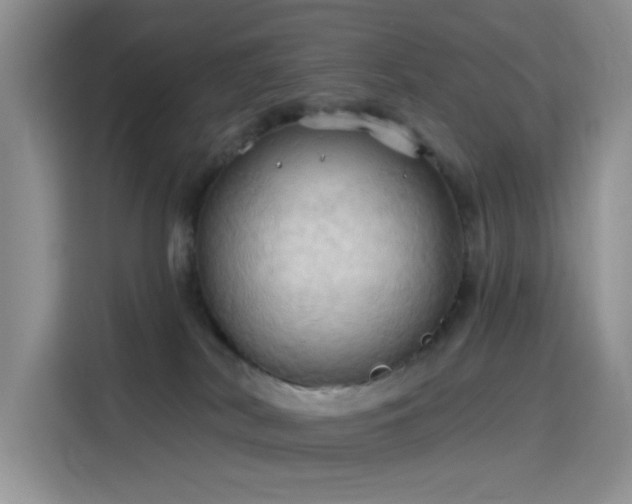 X0000115790038200911201341