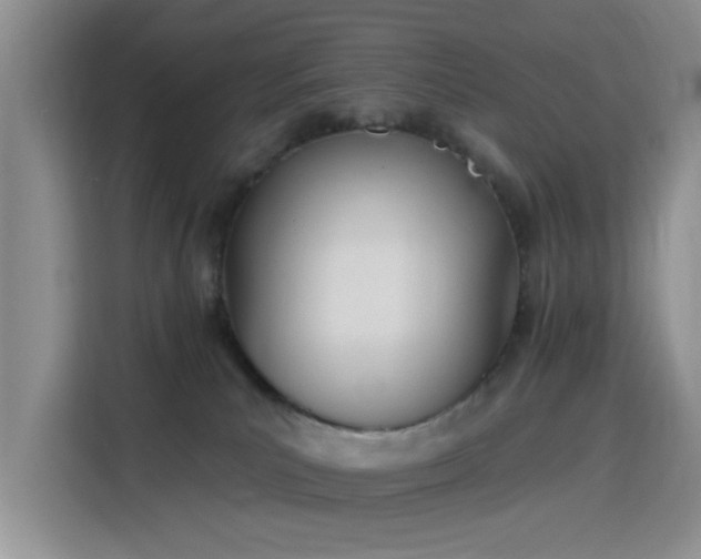 X0000115790039200911201341