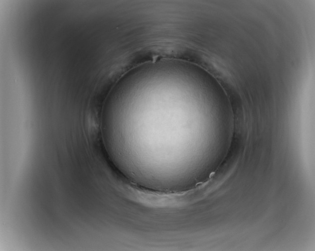 X0000115790040200911201341