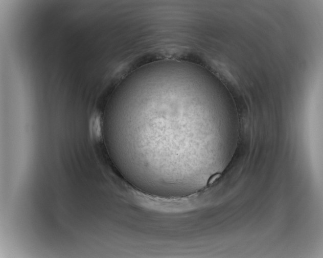 X0000115790042200911201341