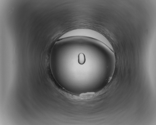 X0000115790043200911201341