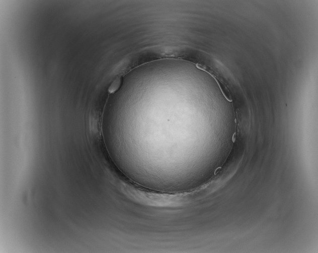 X0000115790044200911201341