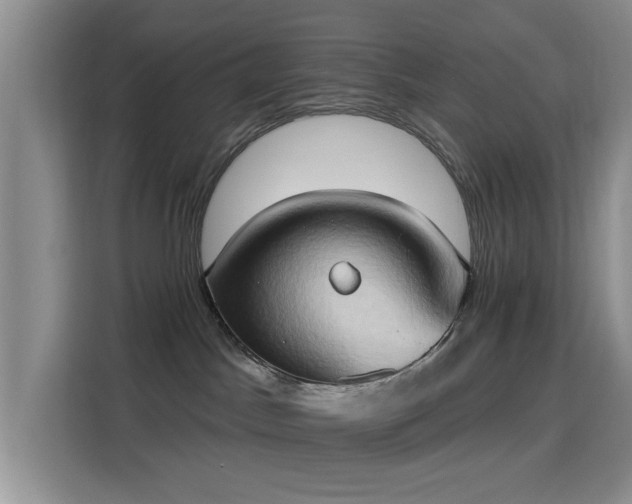 X0000115790045200911201341