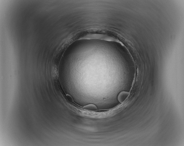 X0000115790048200911201341