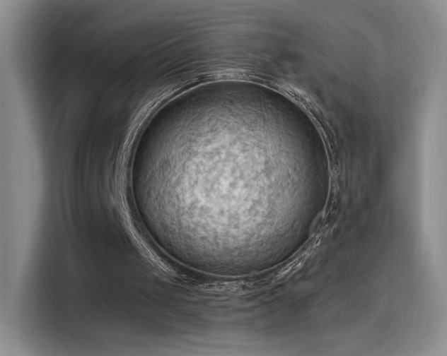 X0000115790049200911201340