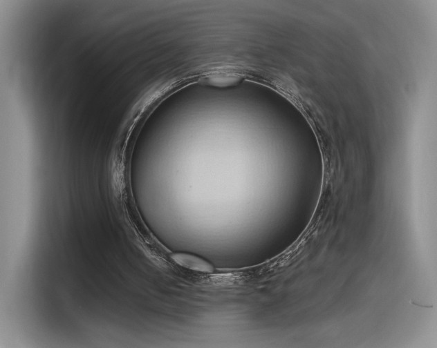 X0000115790050200911201340