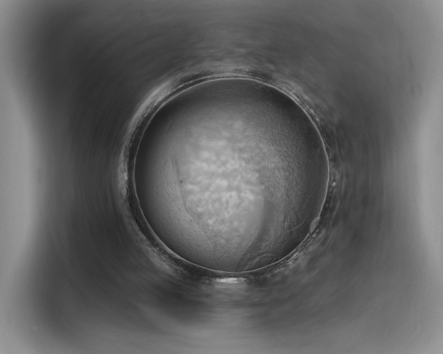 X0000115790053200911201340