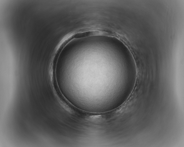 X0000115790054200911201340