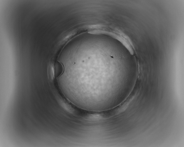 X0000115790061200911201340