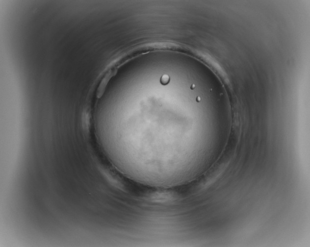 X0000115790063200911201340