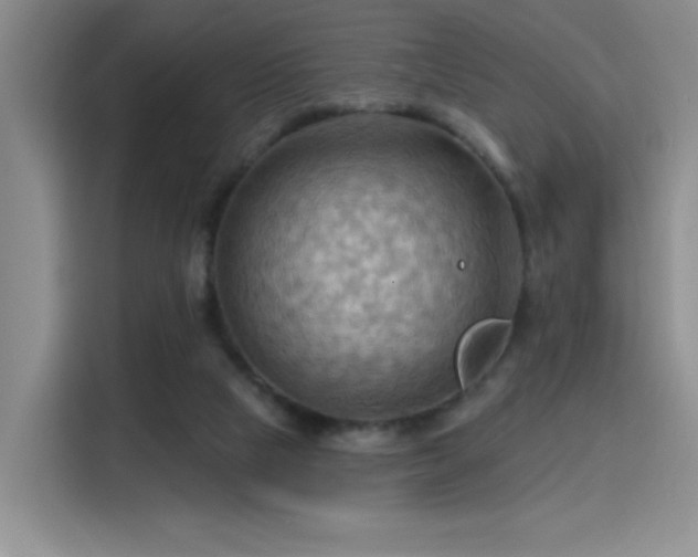 X0000115790065200911201340