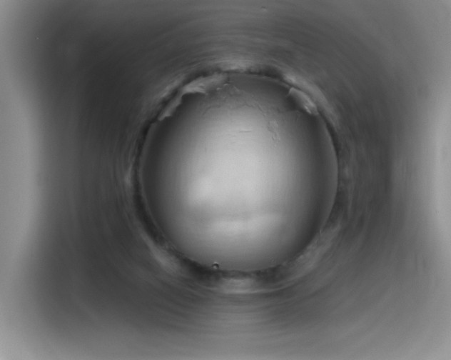 X0000115790066200911201340