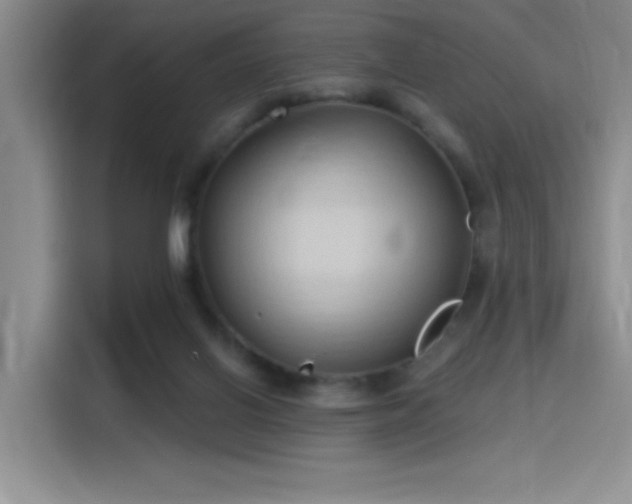 X0000115790070200911201340