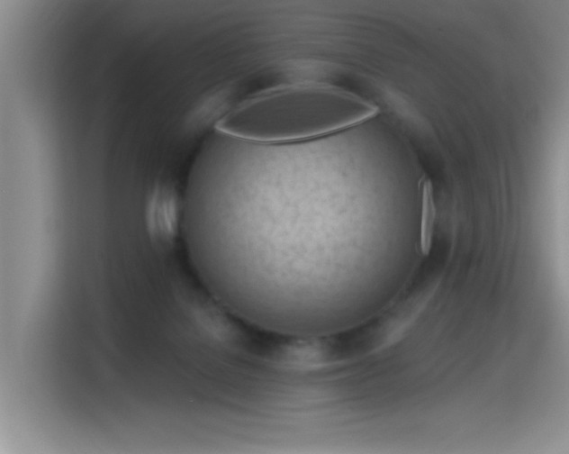 X0000115790076200911201340