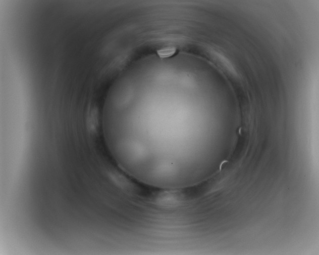 X0000115790077200911201340