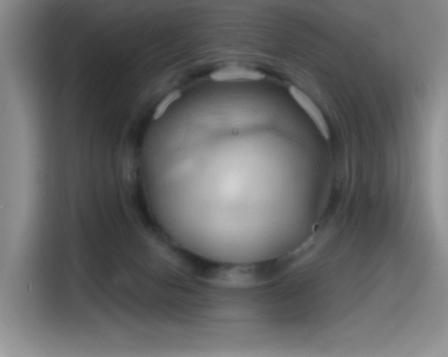 X0000115790078200911201340