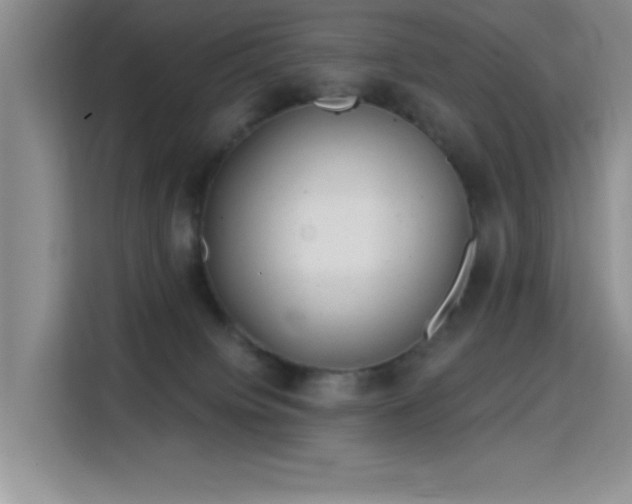 X0000115790084200911201340