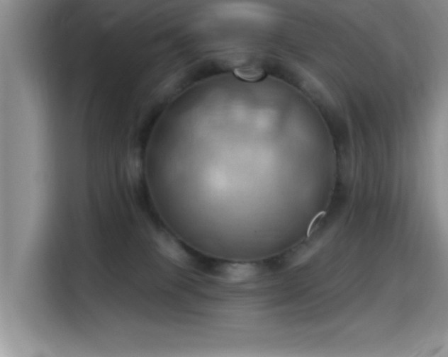 X0000115790085200911201340