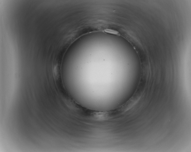 X0000115790088200911201340