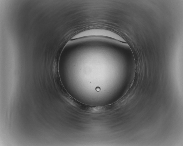 X0000115790092200911201340