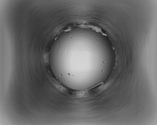 X0000115790096200911201341