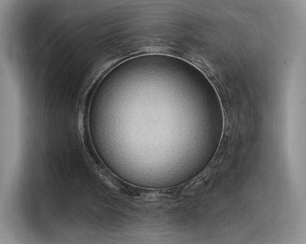 X0000115790098200911201340