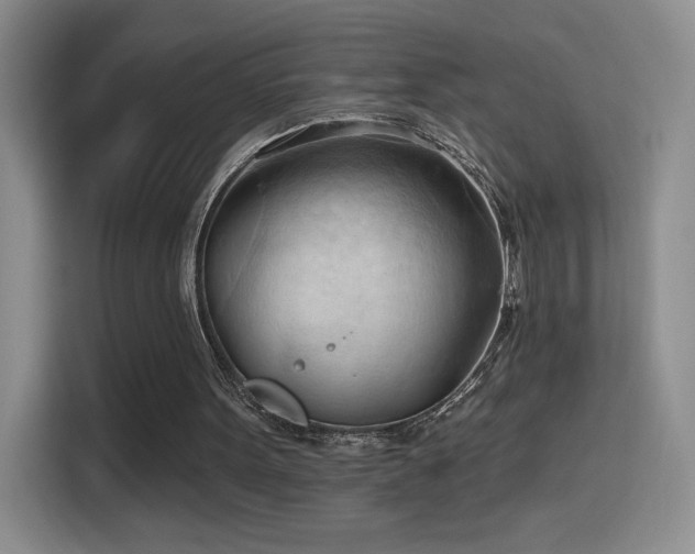 X0000115790099200911201340